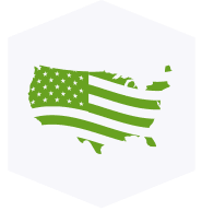 USA Hex Icon
